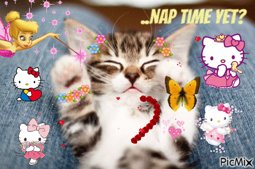 A cute cat :) - Animovaný GIF zadarmo