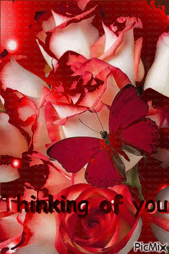 Thinking of you - Darmowy animowany GIF