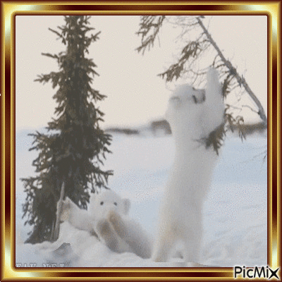 Zima - Darmowy animowany GIF