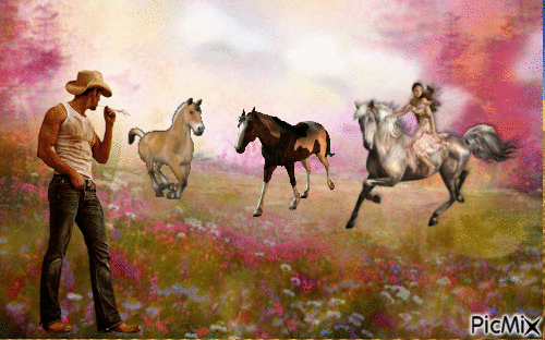 a cheval - Zdarma animovaný GIF