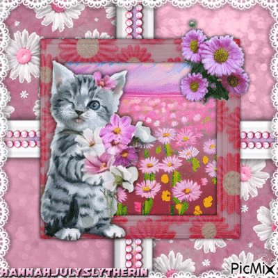 ♦☼♦Little Kitty with Daisies in Pink♦☼♦ - Gratis geanimeerde GIF