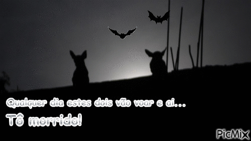 Cães Morcego - Бесплатный анимированный гифка