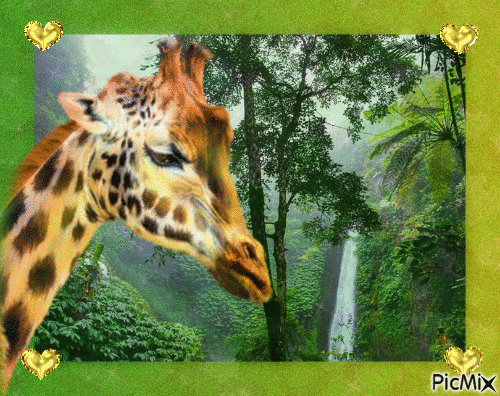girafe - Besplatni animirani GIF