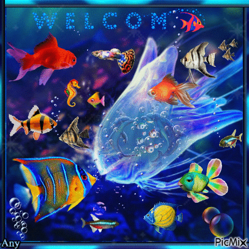 Mon Aquarium ..... - GIF animé gratuit