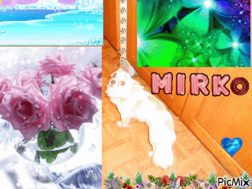 Bienvenue à Mirko - Δωρεάν κινούμενο GIF