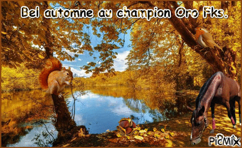 Le champion Oro Fks. - GIF animé gratuit