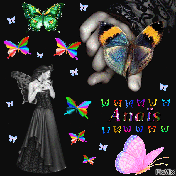 titre : papillons multicolores - Бесплатный анимированный гифка