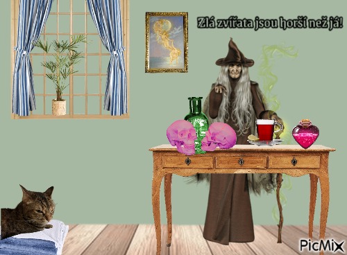 terrible witch - kostenlos png