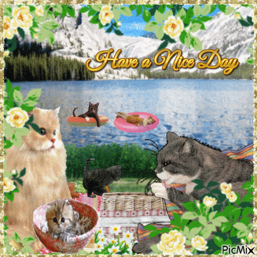Have a nice day! Cats family - Zdarma animovaný GIF