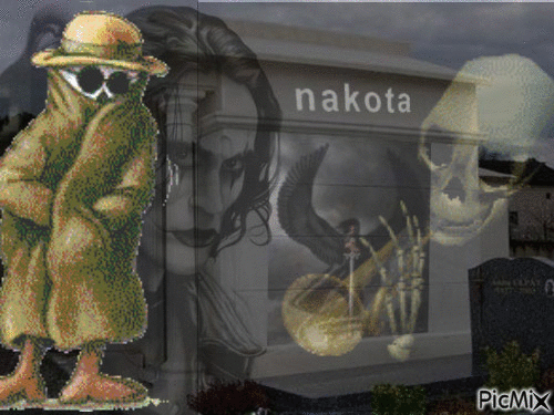 nakota - Gratis animerad GIF