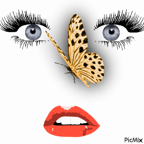 Бабочка-Papillon - Zdarma animovaný GIF