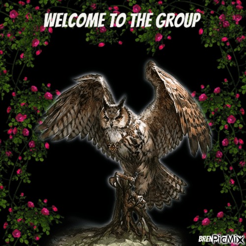 welcome owl - png ฟรี