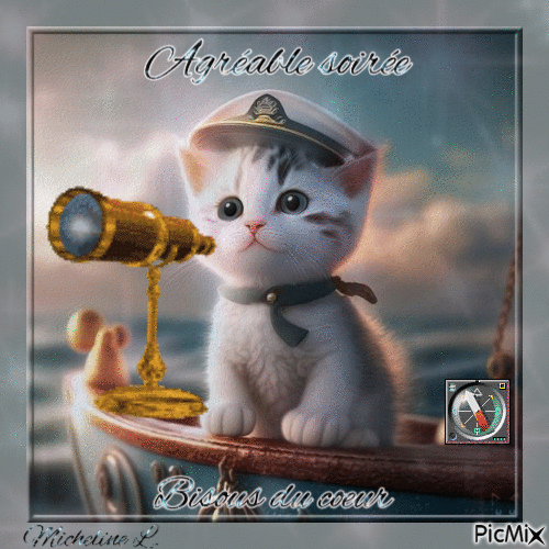 chat capitaine de bateau Agréable soirée - Free animated GIF