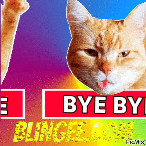 Goodbye Blingee - Free animated GIF