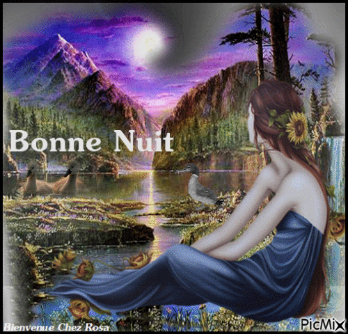 Bonne Nuit - Animovaný GIF zadarmo