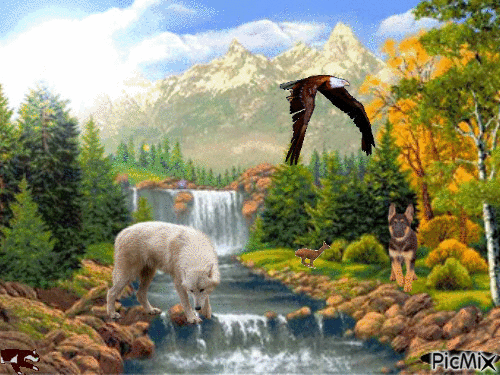 animaux foret riviere - Gratis animeret GIF