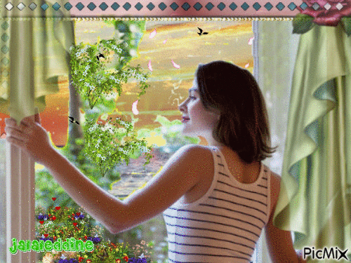 Look out from the window - Animovaný GIF zadarmo
