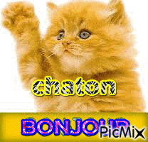 chaton - Besplatni animirani GIF