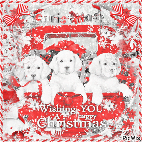 Christmas animals dog BWR - Ingyenes animált GIF