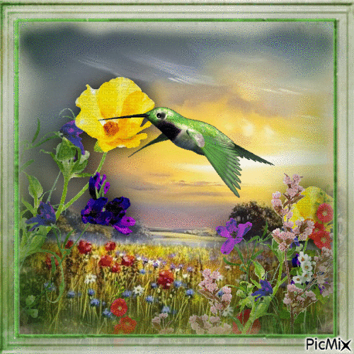 Blumen und Kolibris - Gratis geanimeerde GIF