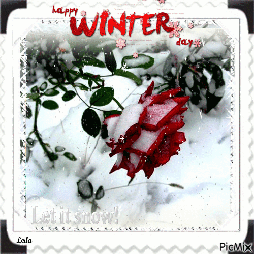 Happy Winter Day. Rose in the snow - GIF animé gratuit