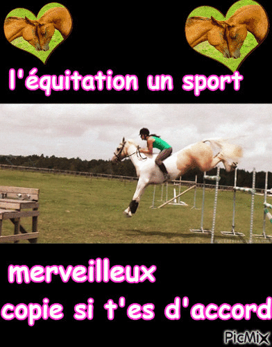 l'équitation - Бесплатни анимирани ГИФ