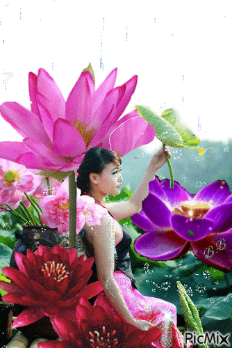 Jeune fille sous la pluie et Lotus - Animovaný GIF zadarmo