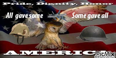 veterans day owl - besplatni png