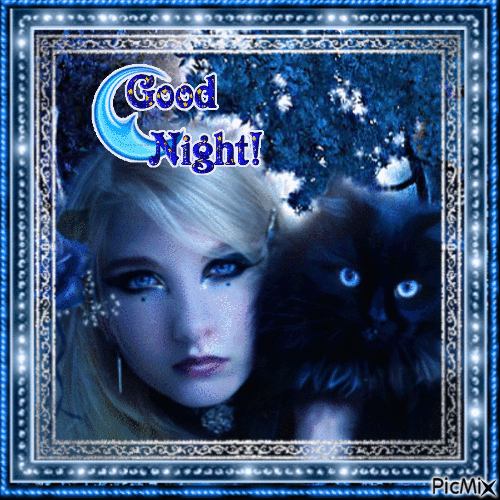 Good Night Blue Cat - GIF animé gratuit