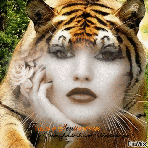 Mulher Tigre - GIF animé gratuit