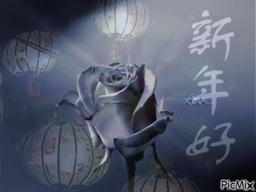 la rose - Animovaný GIF zadarmo