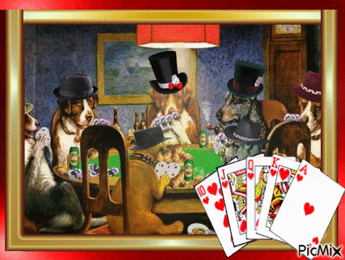 Friday Night Card Game! - Zdarma animovaný GIF