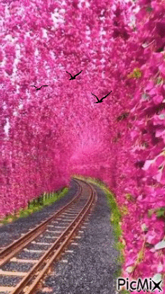 Túnel florido - GIF animado gratis
