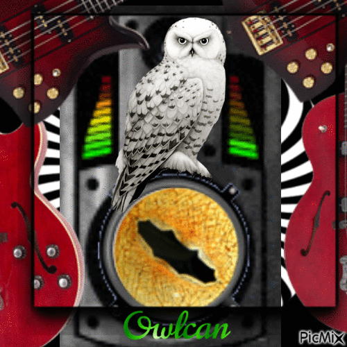 Owlcun - GIF animé gratuit