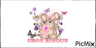 bisous lapin - Free animated GIF