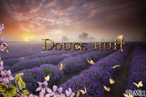 douce nuit lavande - Δωρεάν κινούμενο GIF