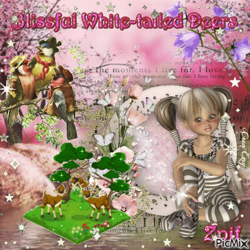 Blissful White-tailed Deers - GIF animé gratuit