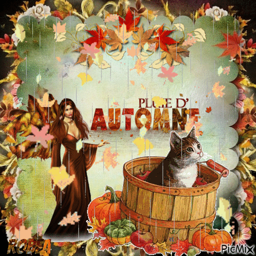 Pluie d`automne - Free animated GIF