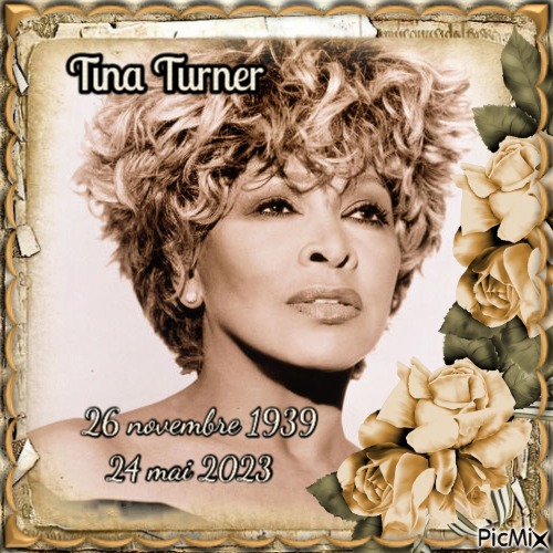 Hommage à Tina Turner - png gratis