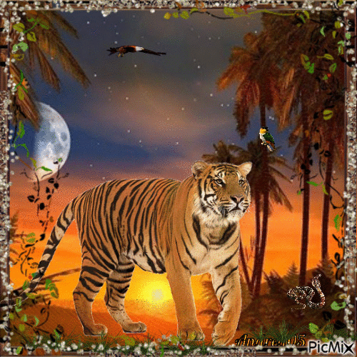 Bengal tiger... - GIF animé gratuit
