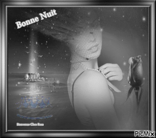 Bonne Nuit - Δωρεάν κινούμενο GIF