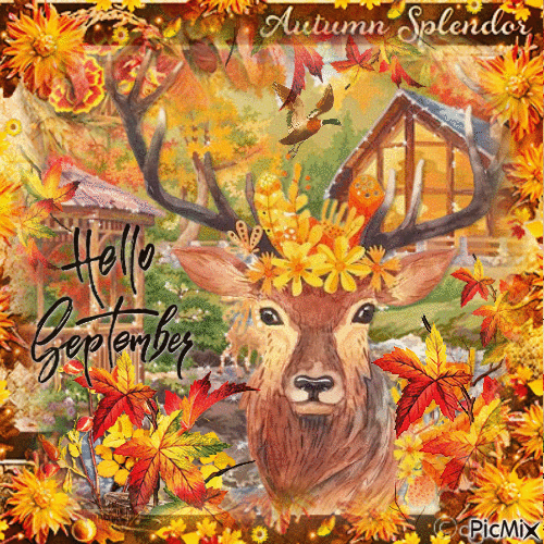 Hello September animals - Darmowy animowany GIF