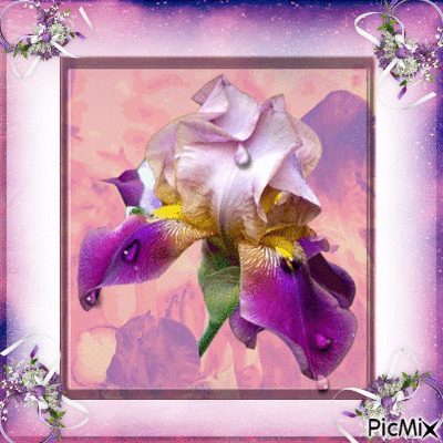 Purple Flower - GIF animado gratis