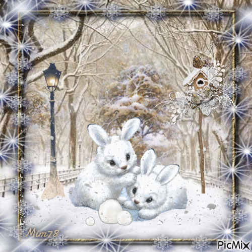 il neige,lapins blancs - Darmowy animowany GIF