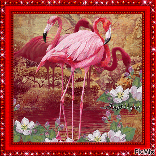 Les flamants roses... 💗💟💗 - Free animated GIF
