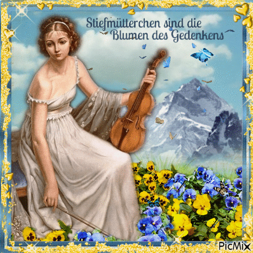 Stiefmütterchen-Blume - Animovaný GIF zadarmo