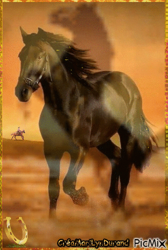CHEVAL - Free animated GIF