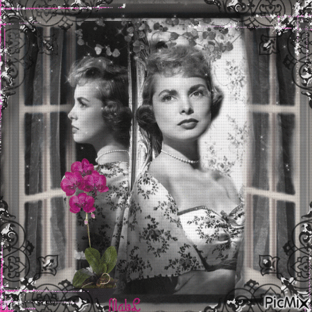 Vintage Noir et Blanc avec Orchidée Rose - Безплатен анимиран GIF