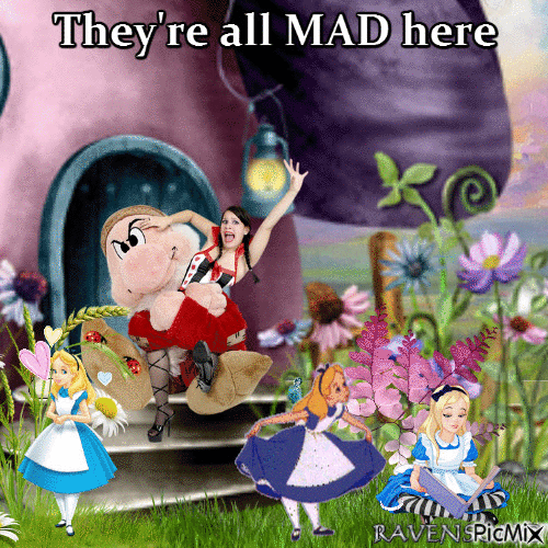 They're all MAD here - GIF animé gratuit