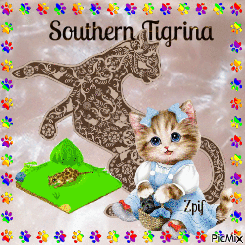 Southern Tigrina - Zdarma animovaný GIF